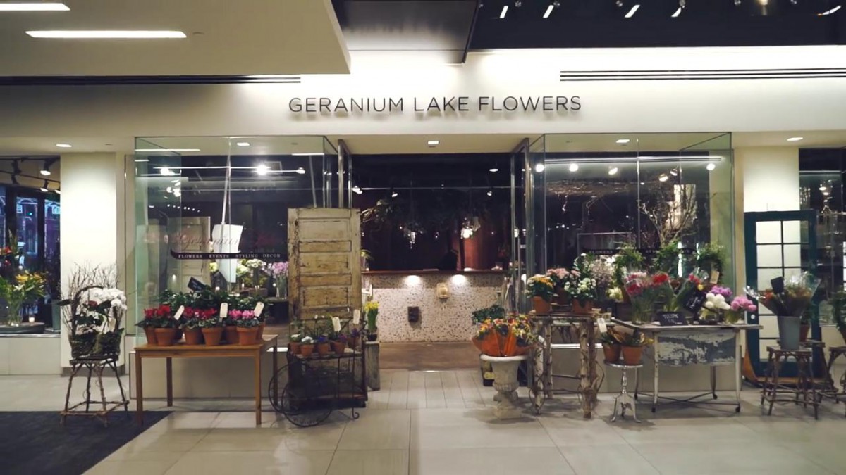 Geranium Lake Flowers Hybrid Moon Video Advertising Agency